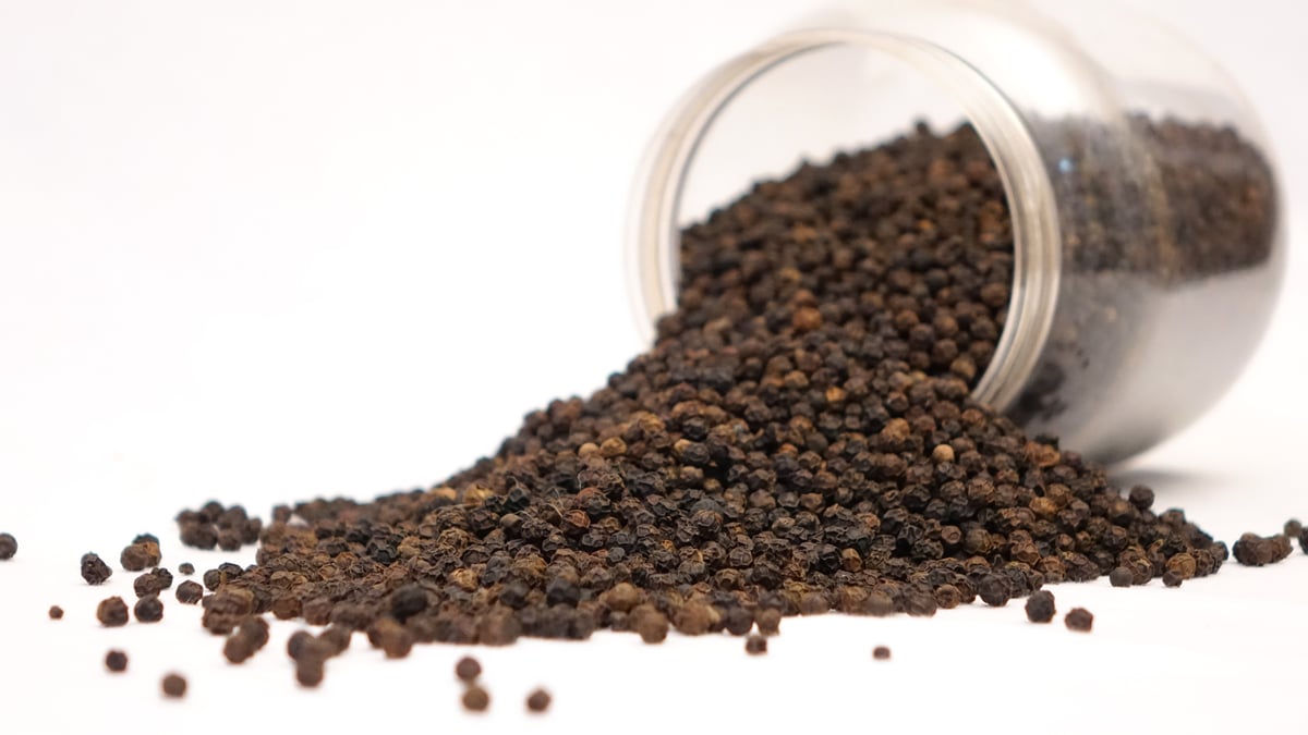 Black Pepper