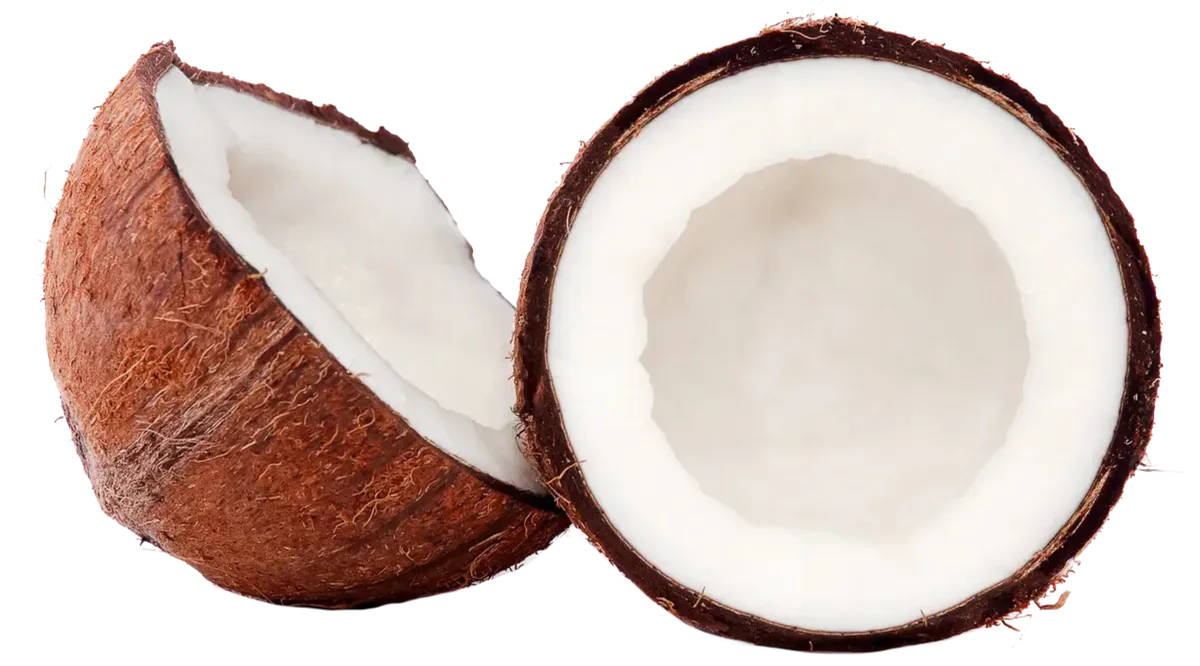 Coconut