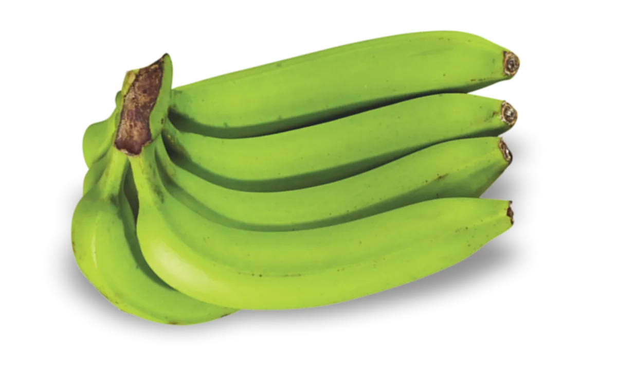 Karibale