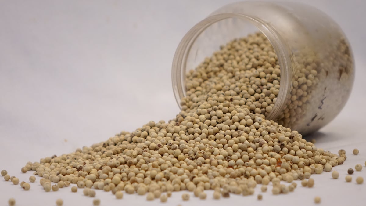 White Pepper